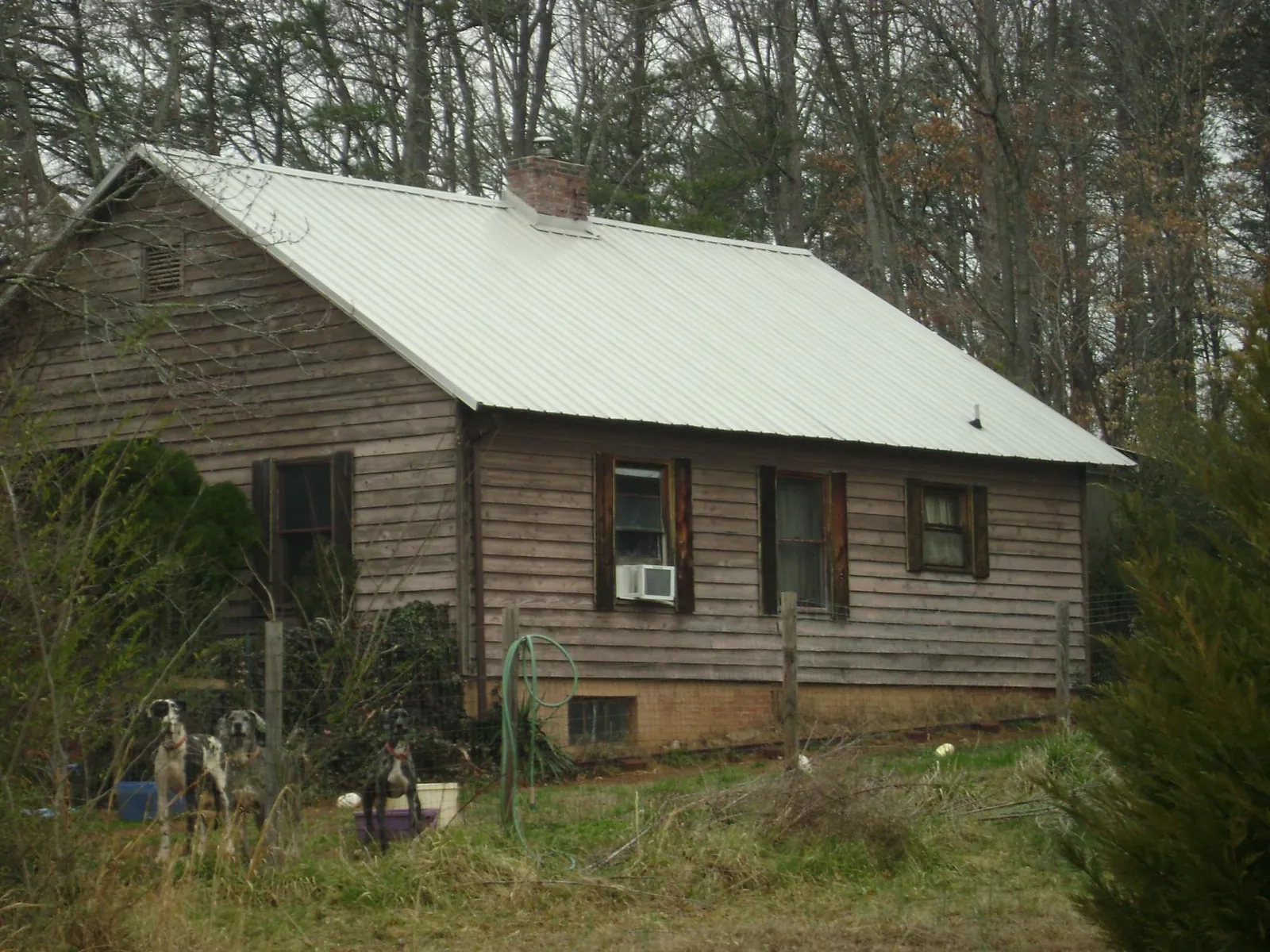 White metal roof on an old wood sided farmhouse, from a Asphalt Shingle Roof Repair job in Oneco